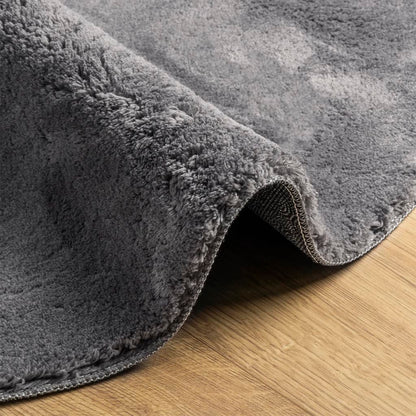 Teppich HUARTE Kurzflor Weich und Waschbar Anthrazit Ø 200 cm
