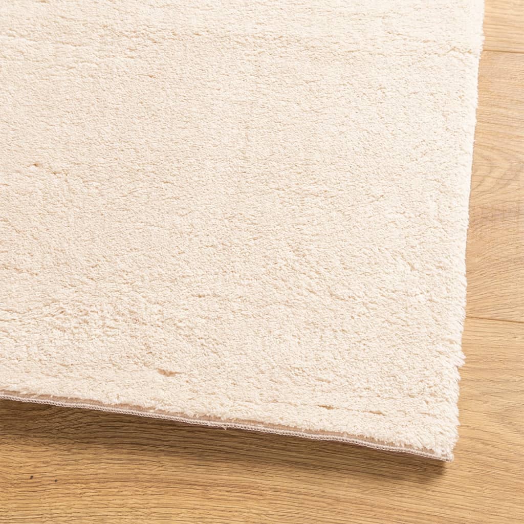 Teppich HUARTE Kurzflor Weich und Waschbar Beige 100x200 cm