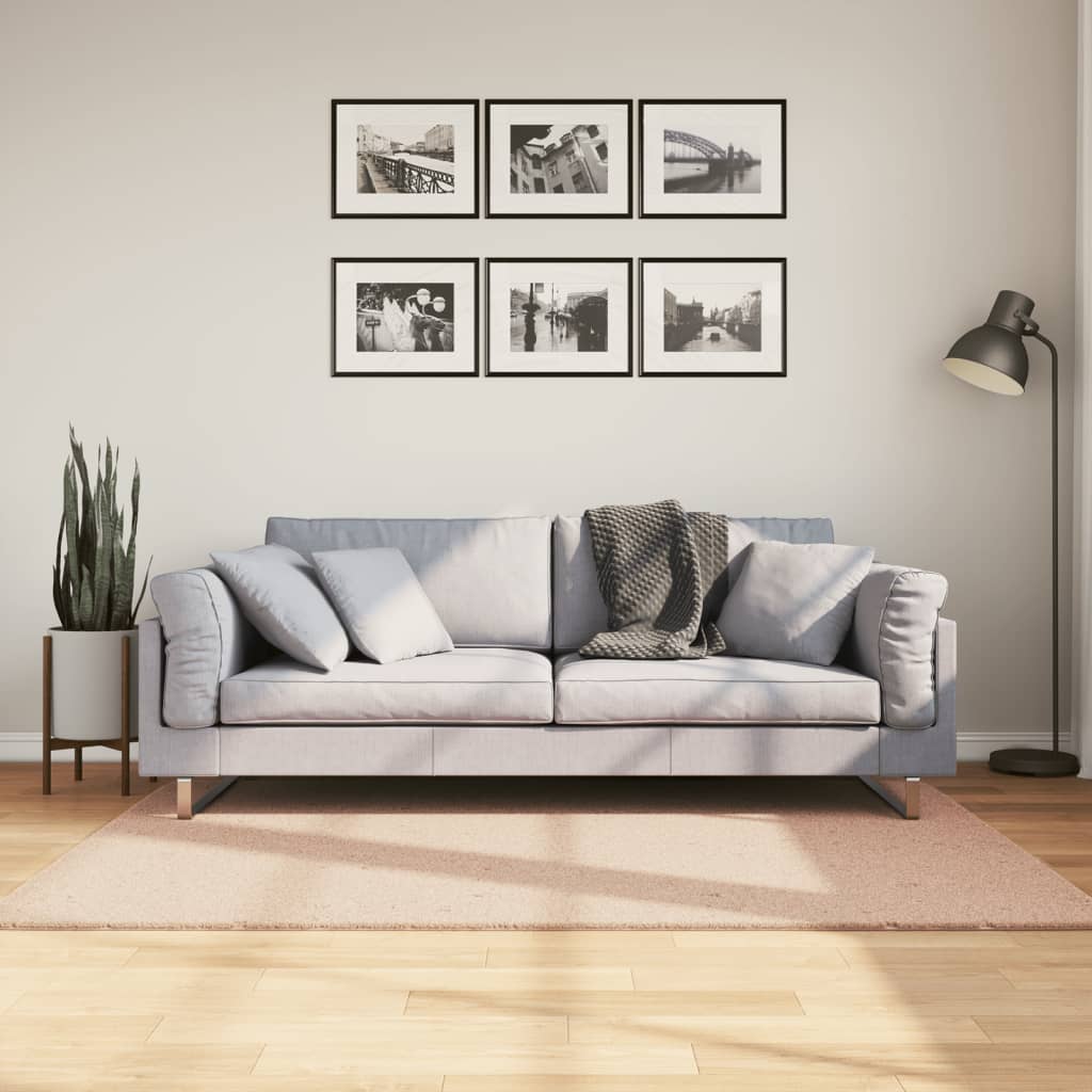 Teppich HUARTE Kurzflor Weich und Waschbar Blassrosa 120x170 cm