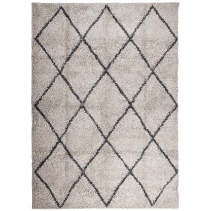 Shaggy-Teppich Hochflor Modern Beige Anthrazit 200x280 cm