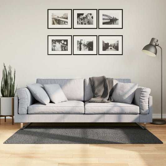 Teppich IZA Kurzflor Skandi-Stil Anthrazit 80x150 cm