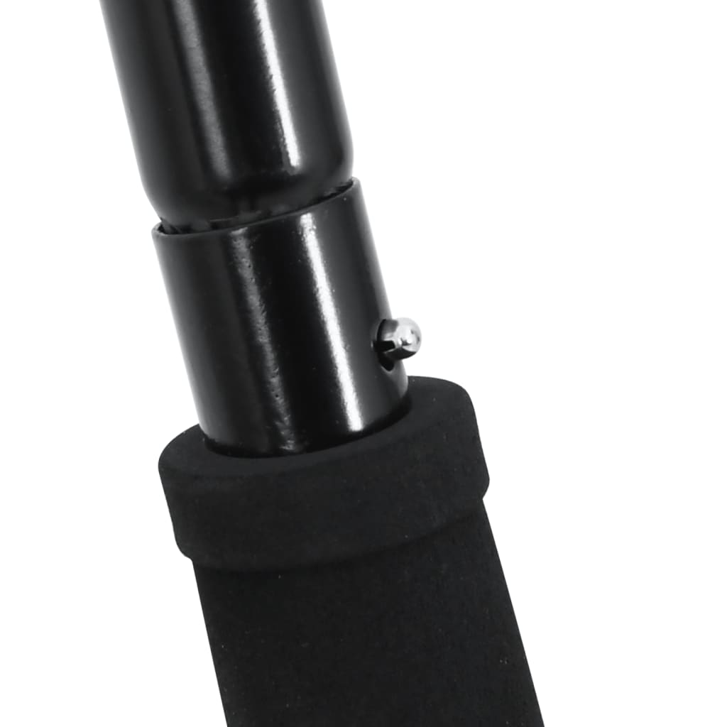 Heugabel mit 18 Zinken Schwarz Stahl