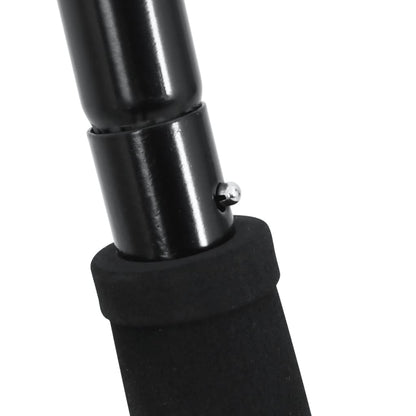 Heugabel mit 18 Zinken Schwarz Stahl