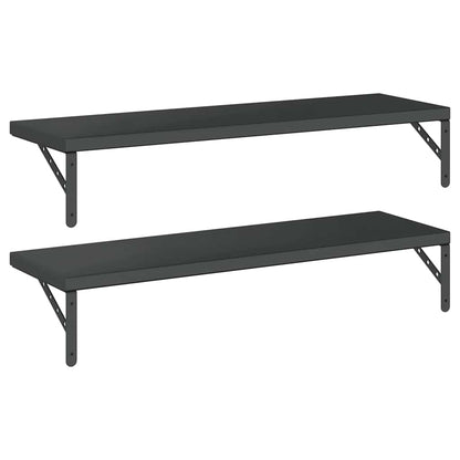Wandregale 2 Stk. 100x30 cm Schwarz Edelstahl