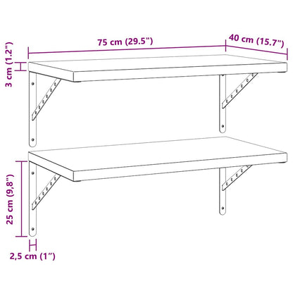 Wandregale 2 Stk. 75x40 cm Schwarz Edelstahl