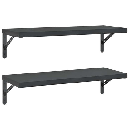Wandregale 2 Stk. 75x30 cm Schwarz Edelstahl