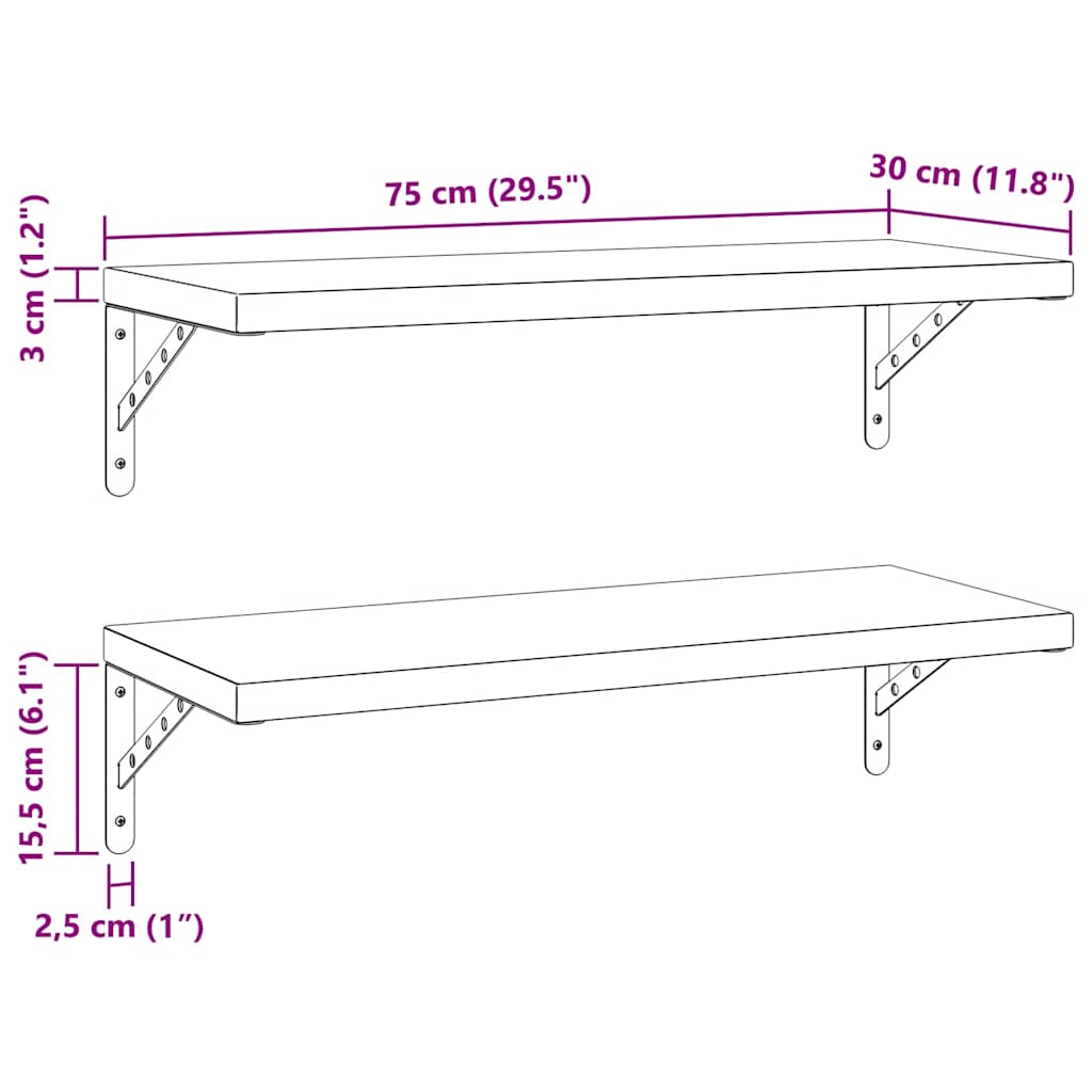 Wandregale 2 Stk. 75x30 cm Schwarz Edelstahl