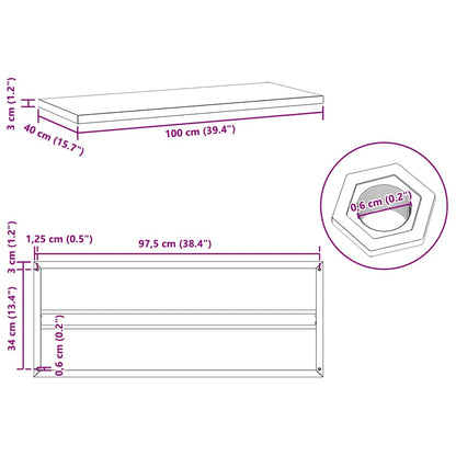 Wandregale 2 Stk. 100x40x3 cm Silbern Edelstahl