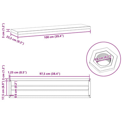 Wandregale 2 Stk. 100x23,5x3 cm Schwarz Edelstahl