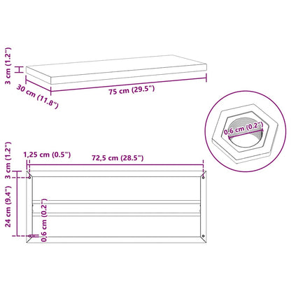 Wandregale 2 Stk. 75x30x3 cm Schwarz Edelstahl
