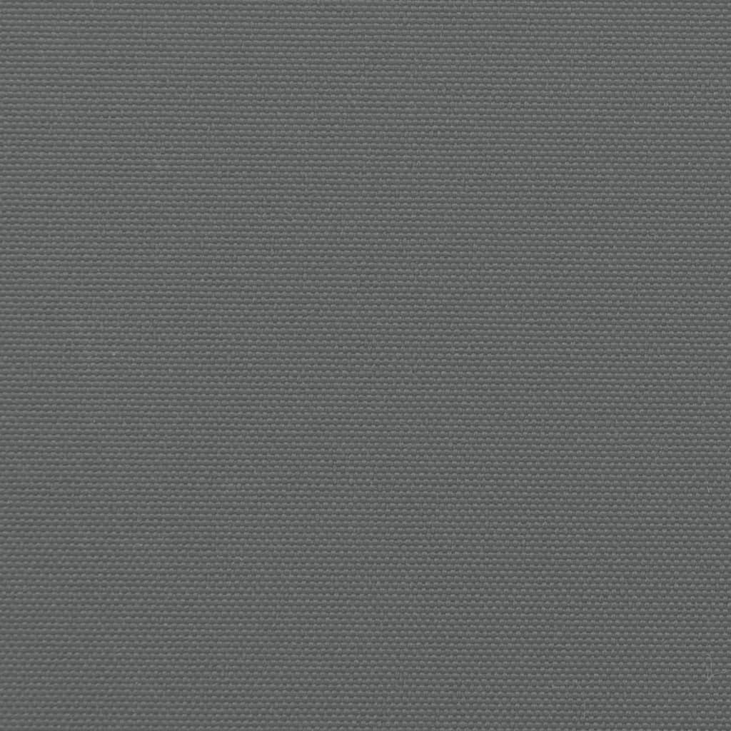 Seitenmarkise Ausziehbar Anthrazit 160x600 cm