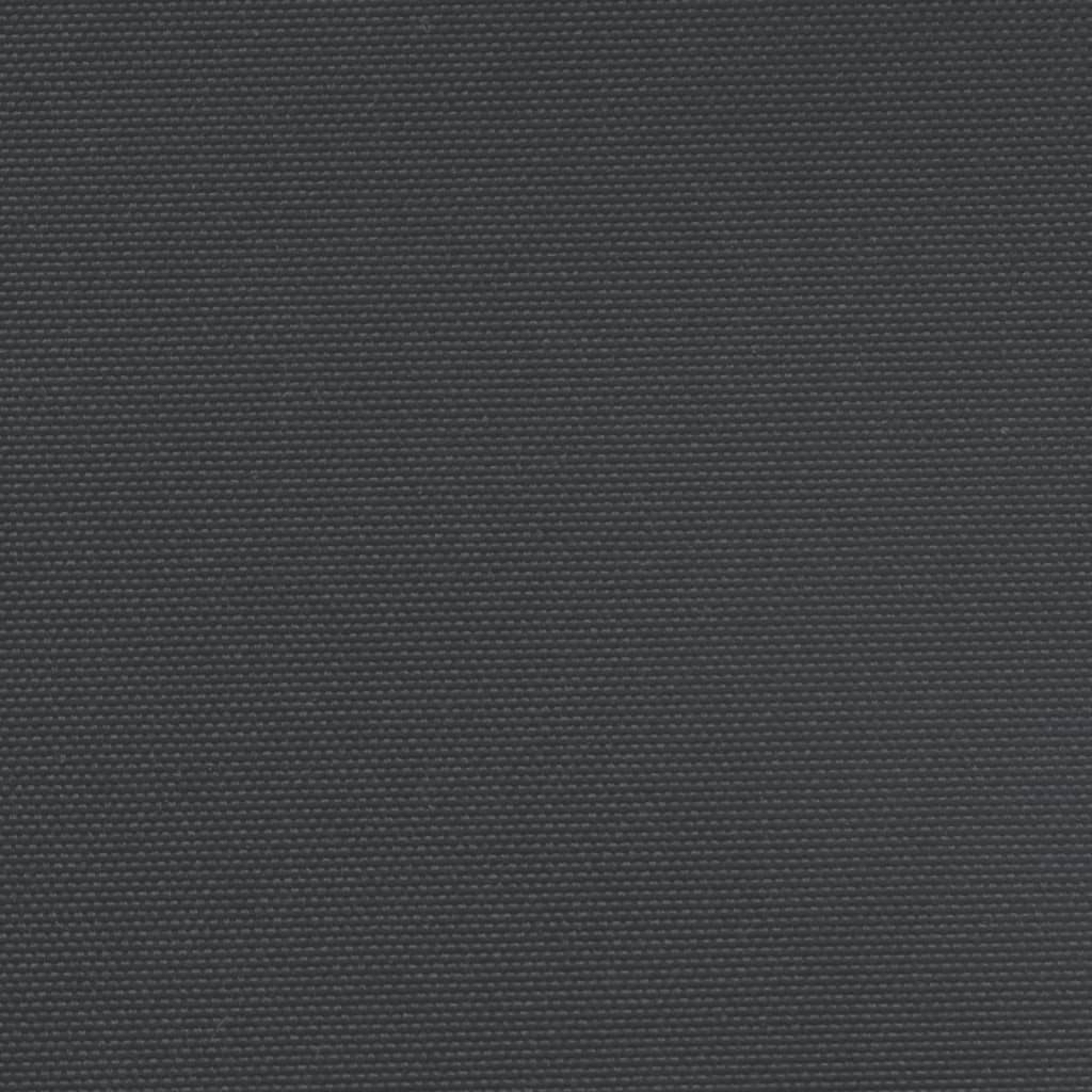Seitenmarkise Ausziehbar Schwarz 120x1200 cm