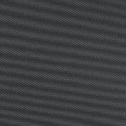 Seitenmarkise Ausziehbar Schwarz 160x1200 cm