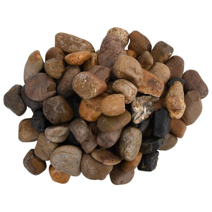 Polierte Kiesel 10 kg Mehrfarbig 2-5 cm