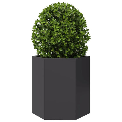 Garten-Pflanzgefäße 2 Stück Schwarz Sechseckig 46x40x45 Stahl