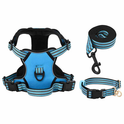 Hundegeschirr mit Leine & Halsband Verstellbar Blau XL