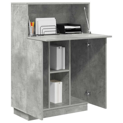 Schreibtisch mit Tür Grau 71,5 x 31,5 x 106,5 cm Holzwerkstoff