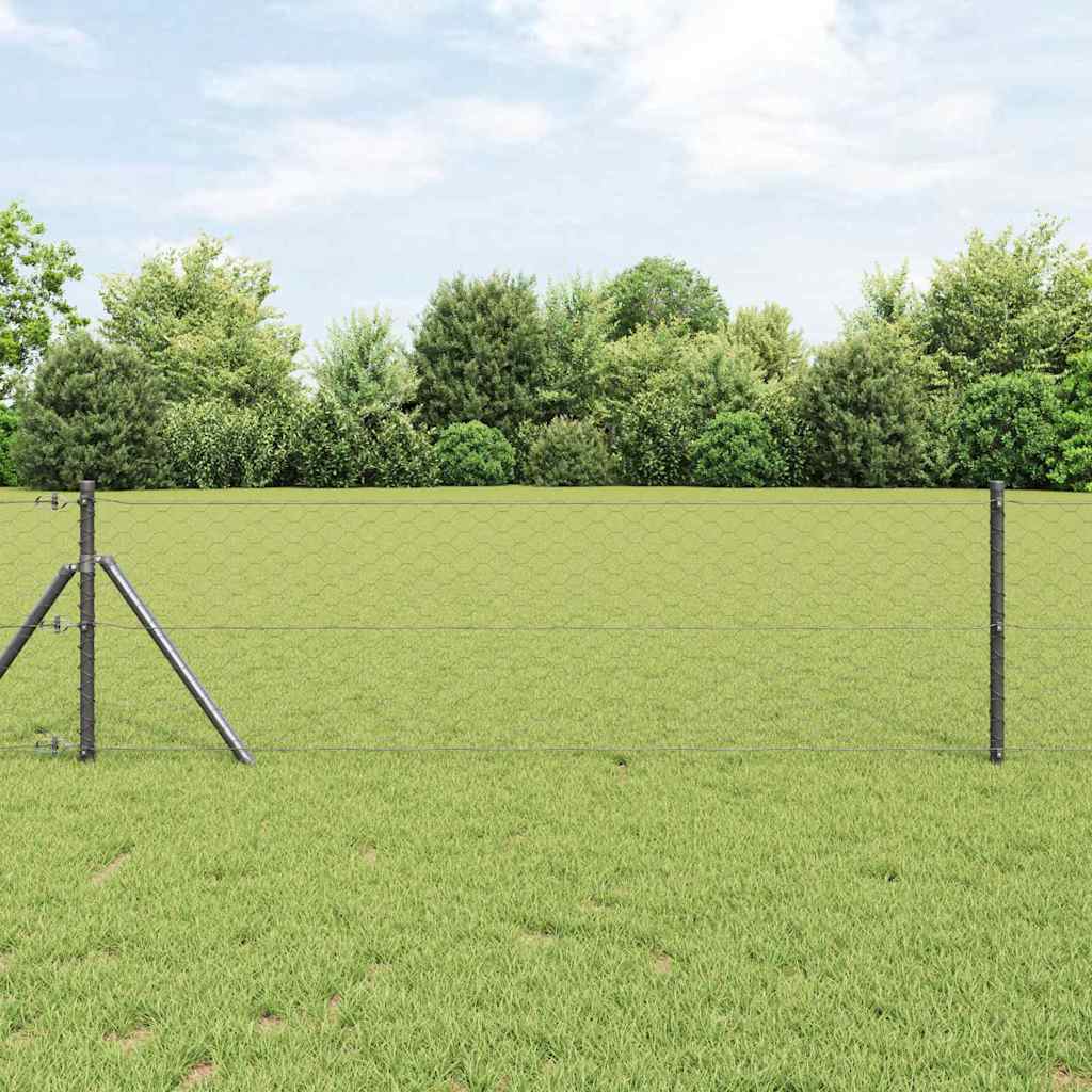 Zaun mit Pfosten Grau 0,6 x 10 m PVC-beschichteter Stahl