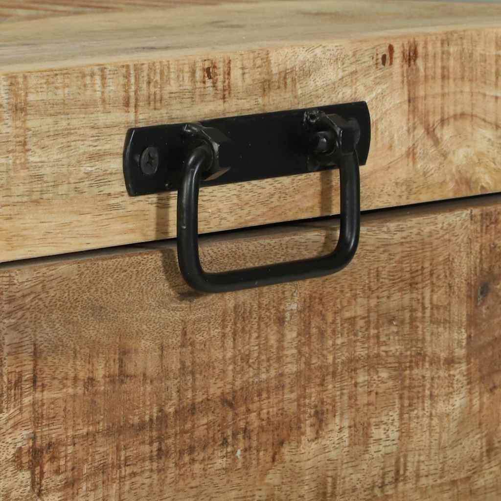 Aufbewahrungstruhen Braun 60 x 30 x 30 cm Massivholz Mango