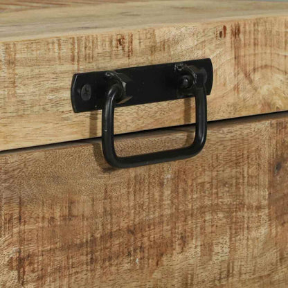 Aufbewahrungstruhen Braun 60 x 30 x 30 cm Massivholz Mango