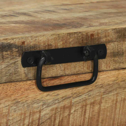 Aufbewahrungstruhen Braun 80 x 30 x 30 cm Massivholz Mango