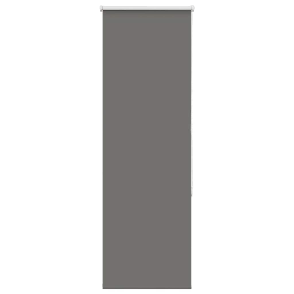 Verdunkelungsrollo Grau 60x130 cm Stoffbreite 55,7 cm Polyester