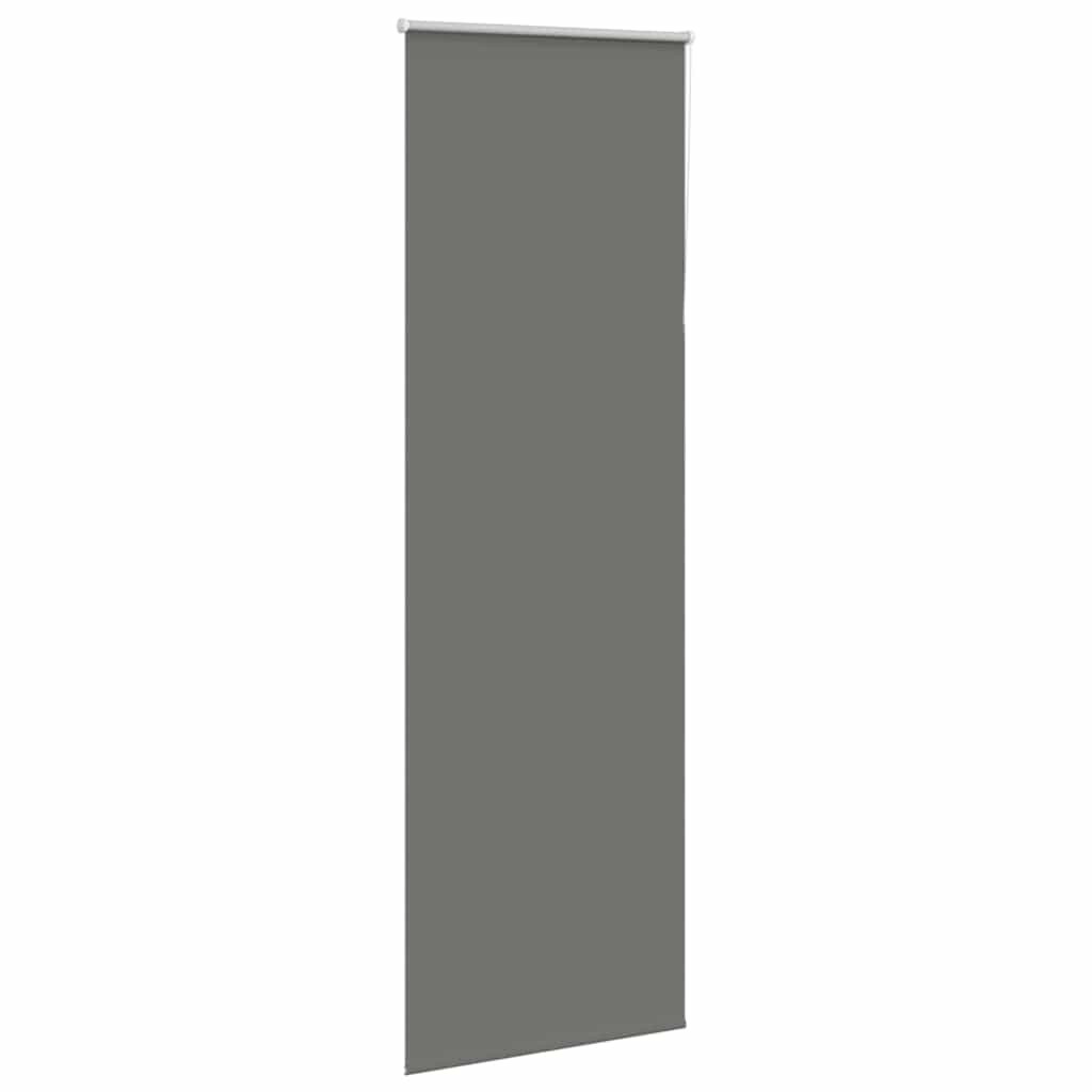 Verdunkelungsrollo Grau 75x230 cm Stoffbreite 70,7 cm Polyester