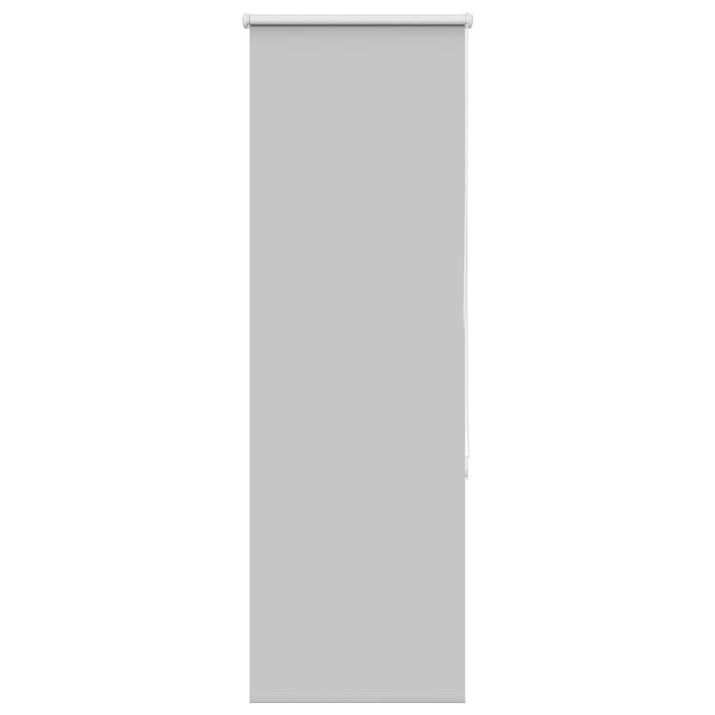 Verdunkelungsrollo Hellgrau 60x150 cm Stoffbreite 55,7 cm