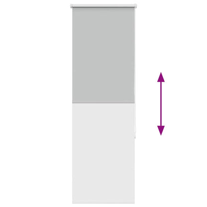 Verdunkelungsrollo Hellgrau 60x150 cm Stoffbreite 55,7 cm