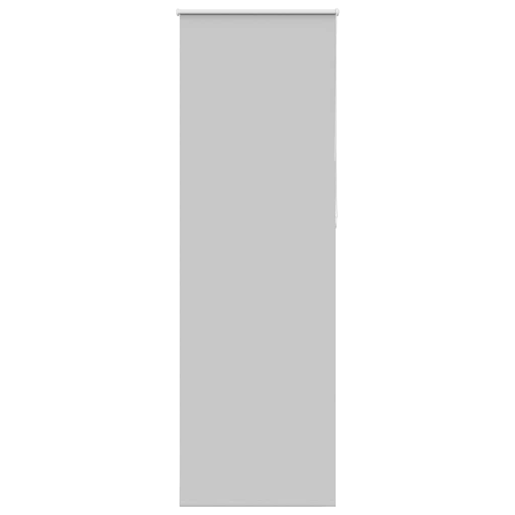 Verdunkelungsrollo Hellgrau 65x210 cm Stoffbreite 60,7 cm