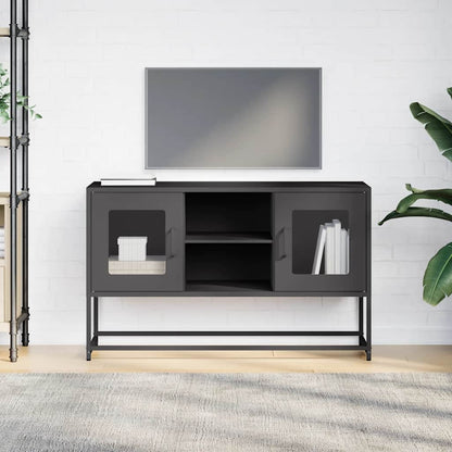 TV-Schrank Schwarz 100,5x39x60,5 cm Stahl