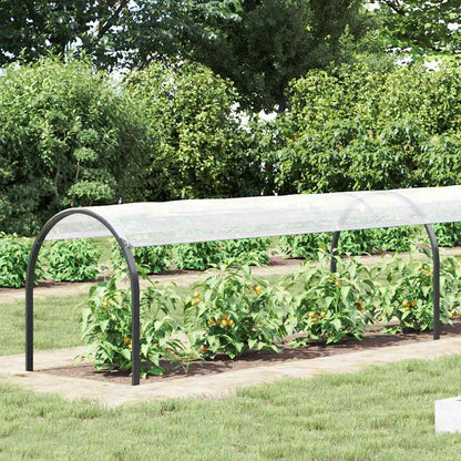 Transparente Plane mit Ösen 1x6 m Polyethylen