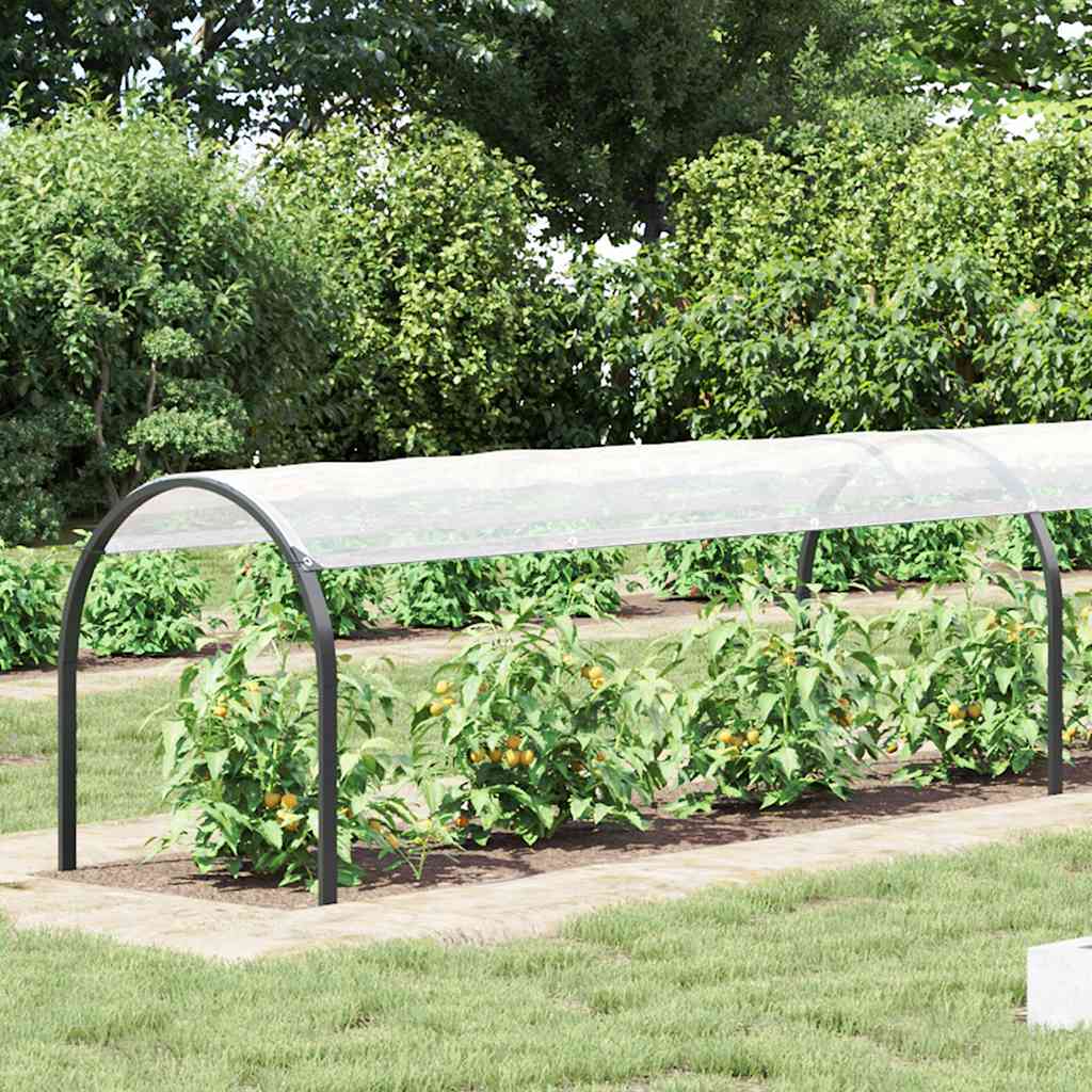 Transparente Plane mit Ösen 1x10 m Polyethylen