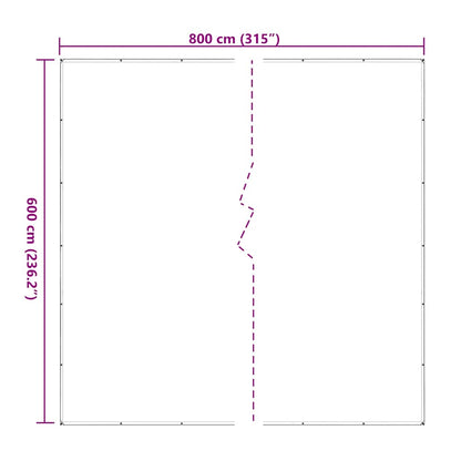 Transparente Plane mit Ösen 6x8 m Polyethylen