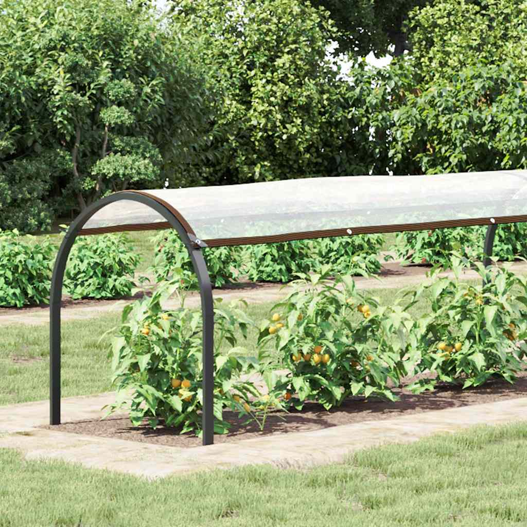 Transparente Plane mit Ösen 1x10 m Polyethylen