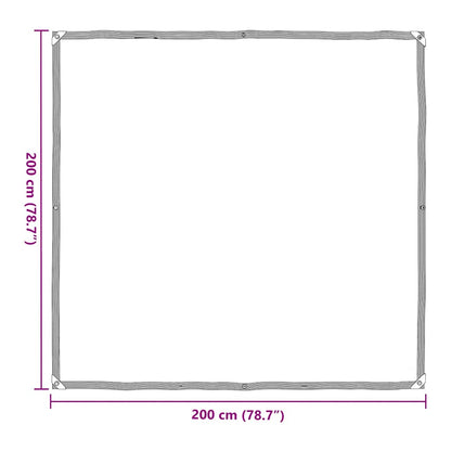 Transparente Plane mit Ösen 2x2 m Polyethylen