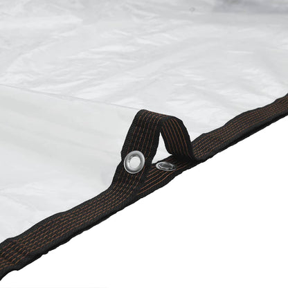 Transparente Plane mit Ösen 2x4 m Polyethylen