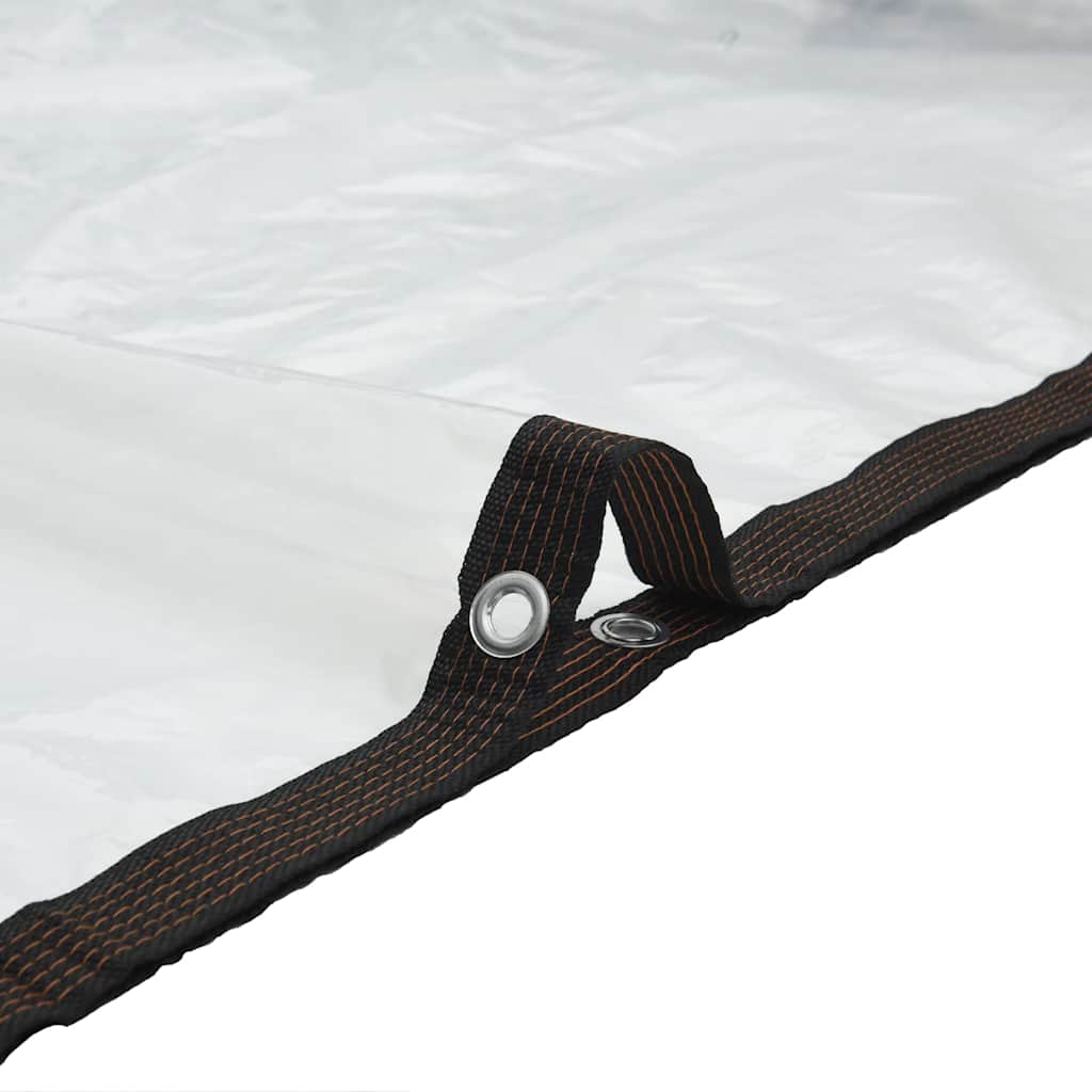 Transparente Plane mit Ösen 2x8 m Polyethylen