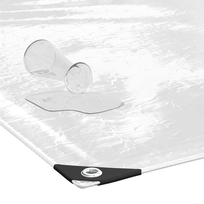 Transparente Plane mit Ösen 2x4 m PVC