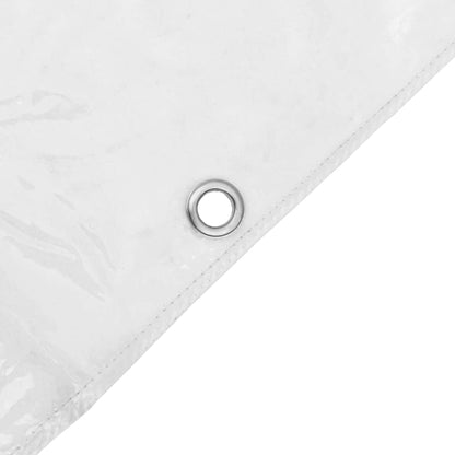Transparente Plane mit Ösen 3x10 m PVC
