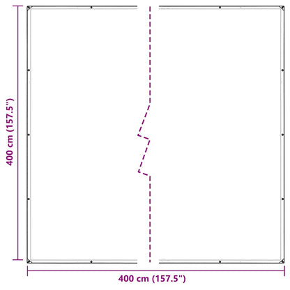 Transparente Plane mit Ösen 4x4 m PVC