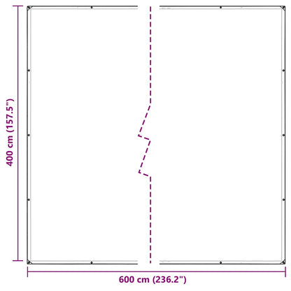 Transparente Plane mit Ösen 4x6 m PVC