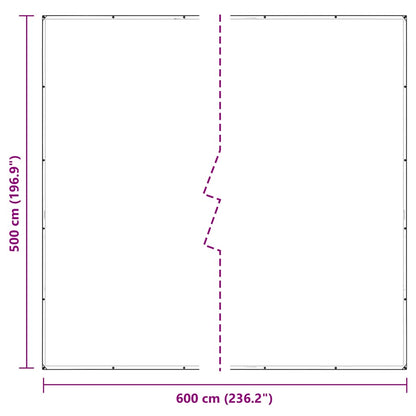 Transparente Plane mit Ösen 5x6 m PVC