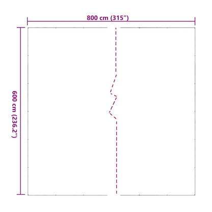 Transparente Plane mit Ösen 6x8 m PVC