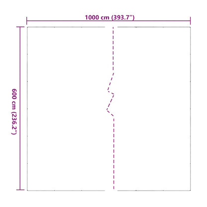 Transparente Plane mit Ösen 6x10 m PVC