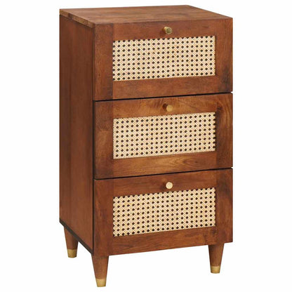 Sideboard Braun 40 x 33.5 x 75 cm Rohr und massives Mangoholz