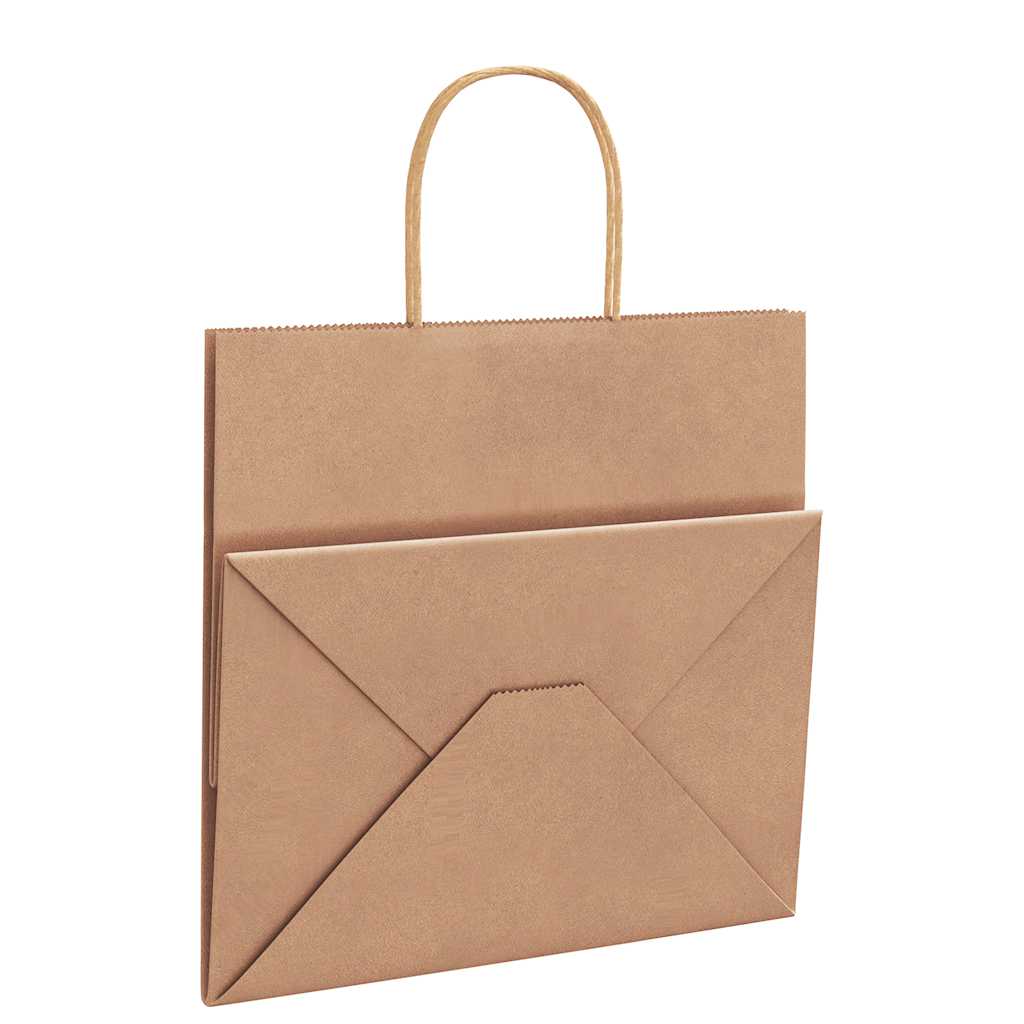 Papiertragetaschen 250 Stk. mit Henkeln Braun 26x17x25 cm