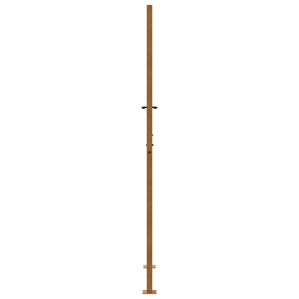 Gartentor 105x205 cm Wetterfester Stahl Flammen-Design