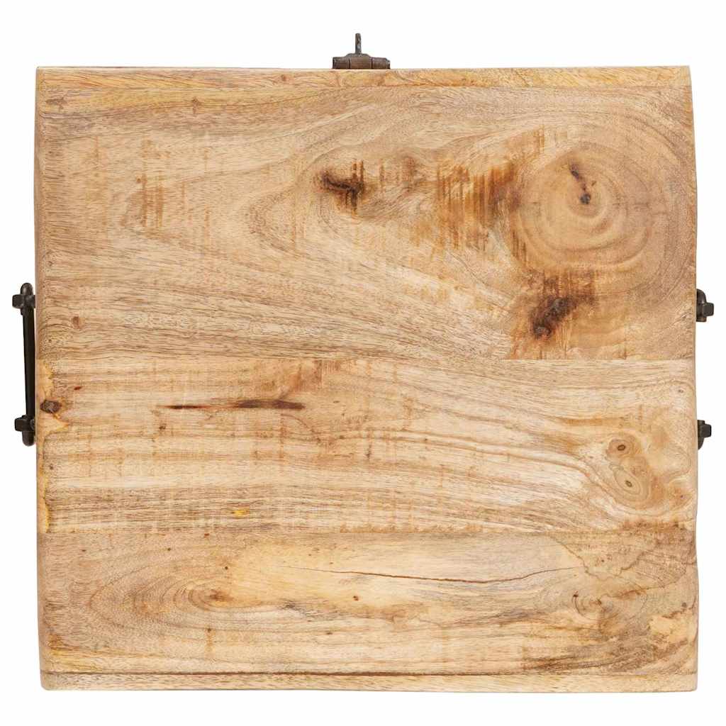 Aufbewahrungsbox mit Speicher mit Schloss massives Mangoholz