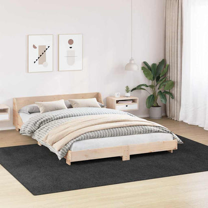 Teppich Dunkelgrau 240 x 340 cm Polypropylen